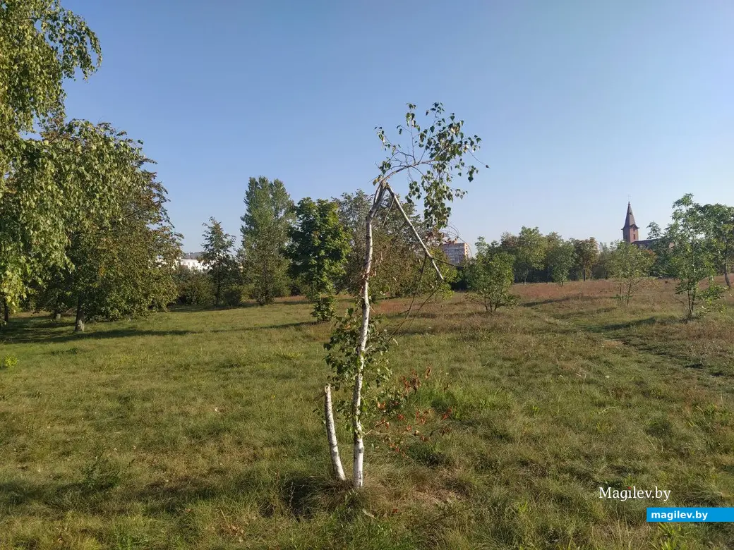 Парк возле Святого озера. Могилев. Сентябрь 2023 года.