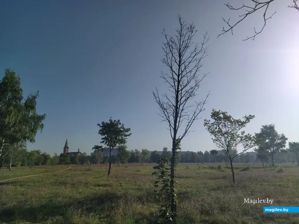 Парк возле Святого озера. Могилев. Сентябрь 2023 года.