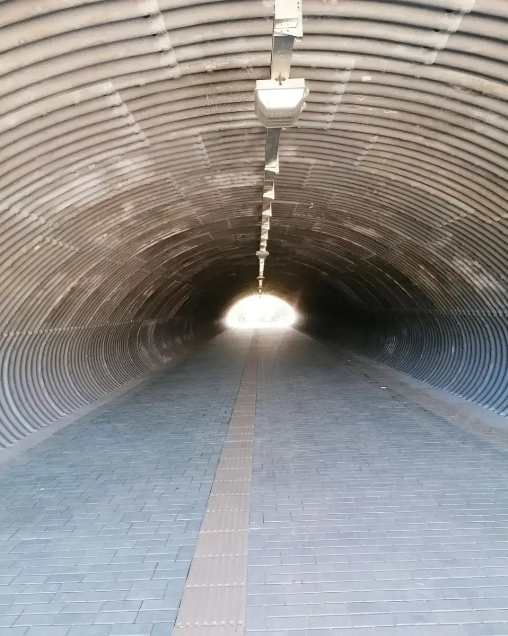 Сентябрь 2023 г. Могилев, проспект «17 Сентября».