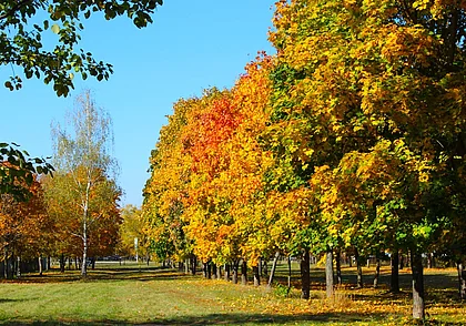 Пройдут дожди, но будет тепло: погода в Могилевской области 19-22 сентября