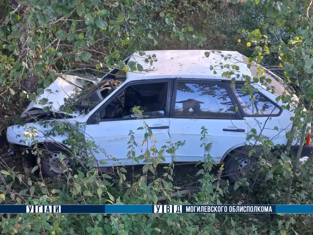 В Костюковичском районе водитель автомобиля ВАЗ не справился с управлением  – врезался в дерево | magilev.by