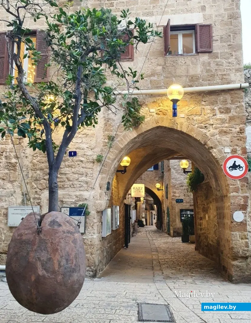 Тель-Авив. 2023 год.