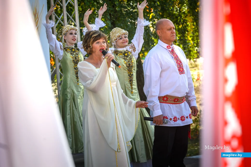 22.09.2023. 16 Молодёжная улица, Воротынь, Воротынский сельский Совет, Бобруйский район,