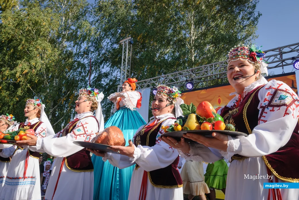 22.09.2023. 16 Молодёжная улица, Воротынь, Воротынский сельский Совет, Бобруйский район,