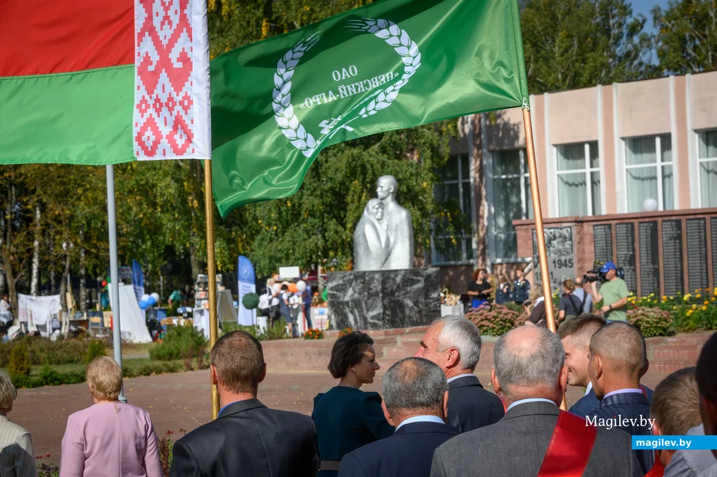 22.09.2023. 16 Молодёжная улица, Воротынь, Воротынский сельский Совет, Бобруйский район,