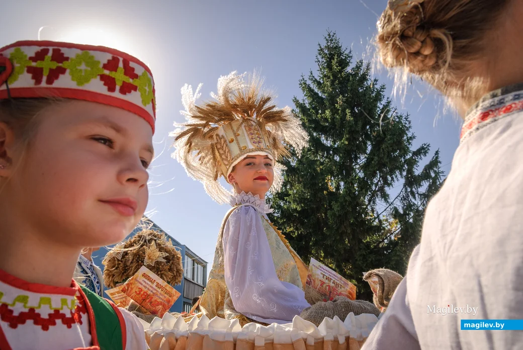22.09.2023. 16 Молодёжная улица, Воротынь, Воротынский сельский Совет, Бобруйский район,