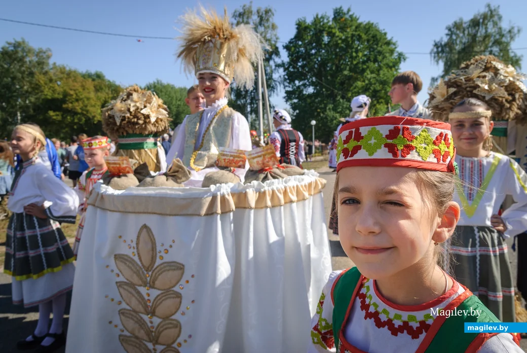 22.09.2023. 16 Молодёжная улица, Воротынь, Воротынский сельский Совет, Бобруйский район,