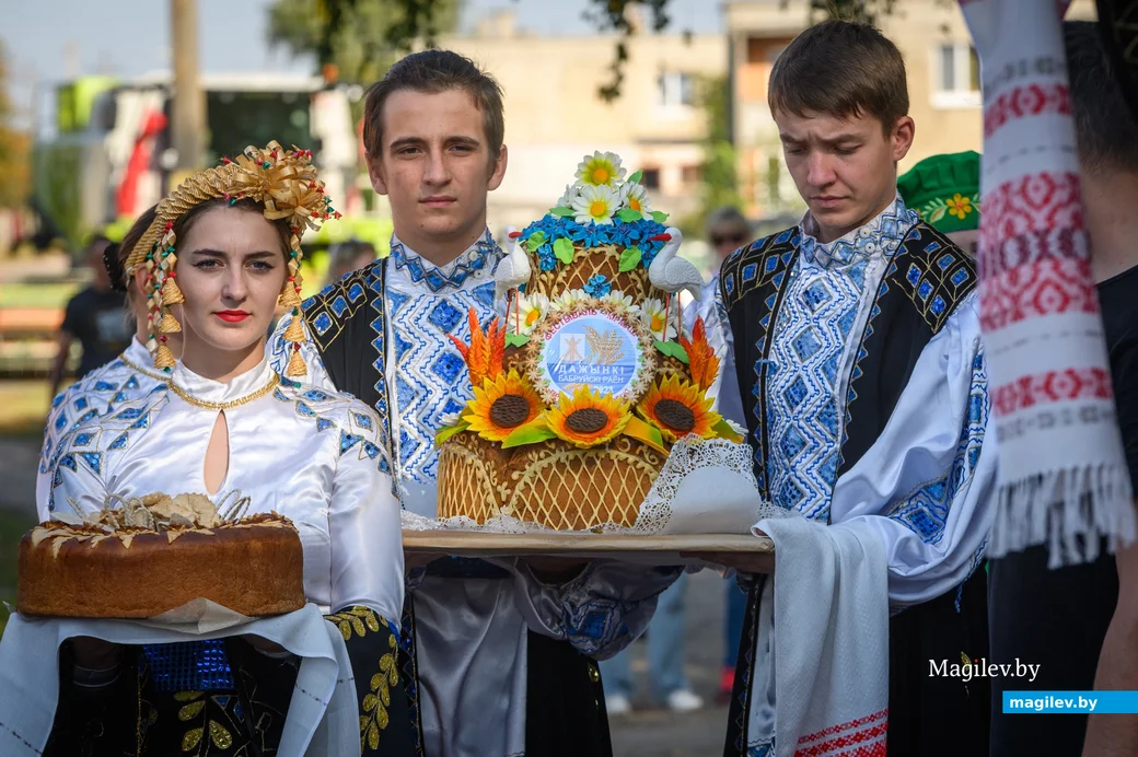 22.09.2023. 16 Молодёжная улица, Воротынь, Воротынский сельский Совет, Бобруйский район,