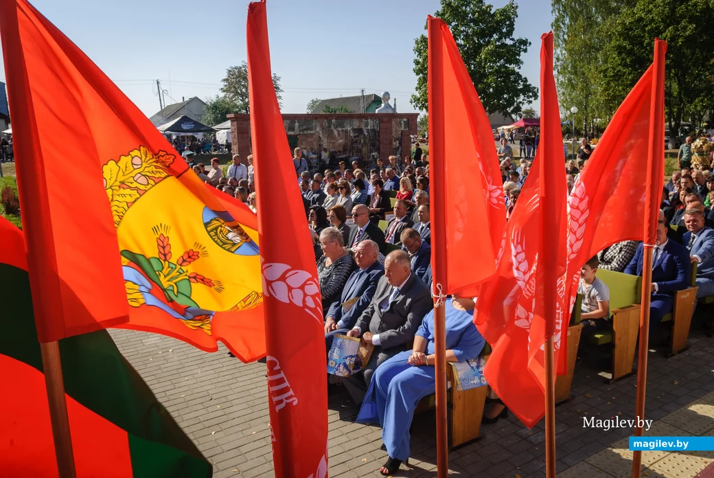 22.09.2023. 16 Молодёжная улица, Воротынь, Воротынский сельский Совет, Бобруйский район,