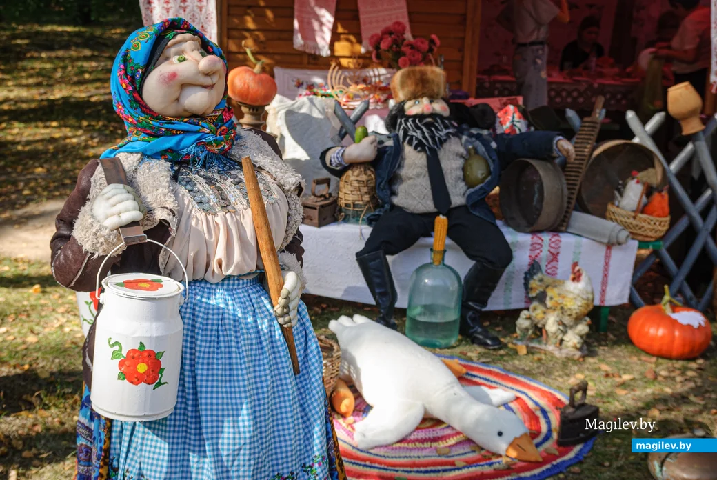 22.09.2023. 16 Молодёжная улица, Воротынь, Воротынский сельский Совет, Бобруйский район,