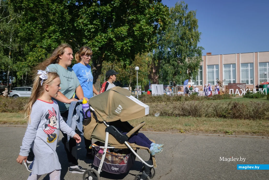 22.09.2023. 16 Молодёжная улица, Воротынь, Воротынский сельский Совет, Бобруйский район,
