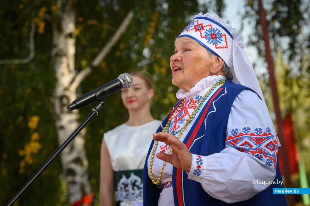 22.09.2023. 16 Молодёжная улица, Воротынь, Воротынский сельский Совет, Бобруйский район,