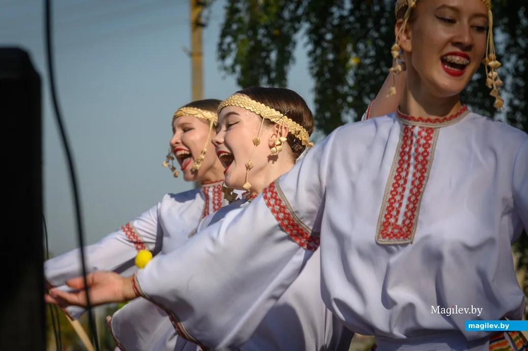 22.09.2023. 16 Молодёжная улица, Воротынь, Воротынский сельский Совет, Бобруйский район,
