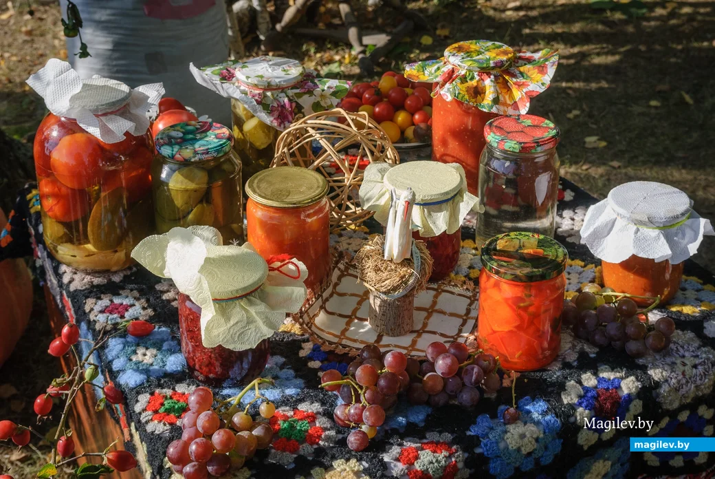 22.09.2023. 16 Молодёжная улица, Воротынь, Воротынский сельский Совет, Бобруйский район,