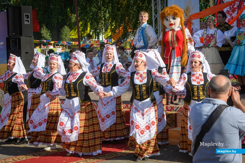 22.09.2023. 16 Молодёжная улица, Воротынь, Воротынский сельский Совет, Бобруйский район,