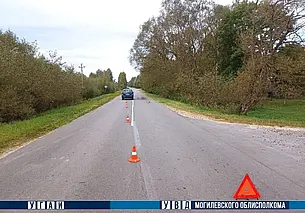 В Могилевском районе под колесами легковушки погиб 63-летний пешеход