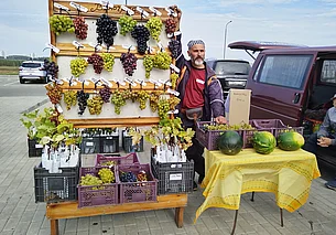 Экзотических фруктов и мяса не нашли, зато большой выбор картошки