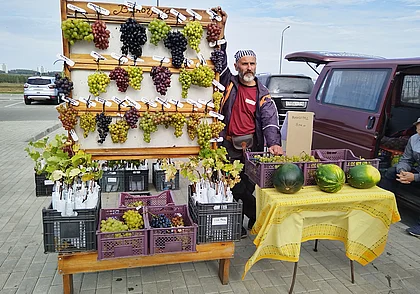 Экзотических фруктов и мяса не нашли, зато большой выбор картошки