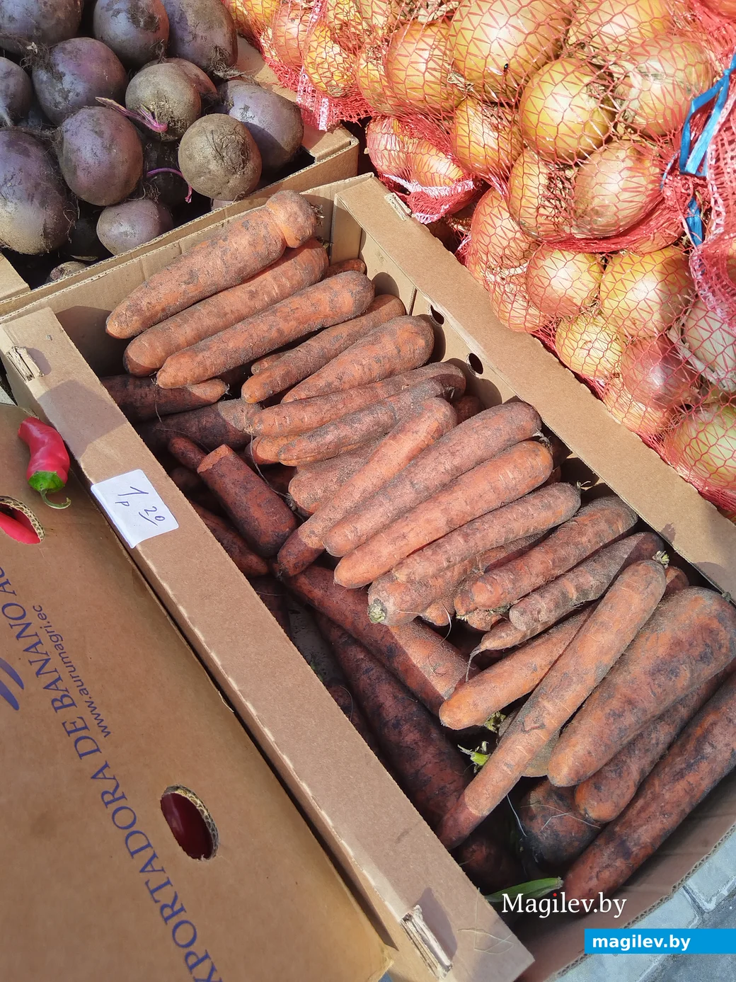 Ярмарка сельхозпродукции на Златоустовского, 1. Могилев, 23.09.2023 г.