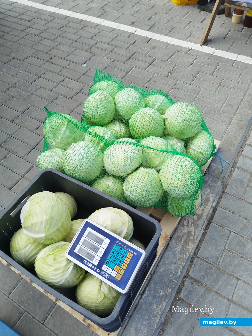 Ярмарка сельхозпродукции на Златоустовского, 1. Могилев, 23.09.2023 г.