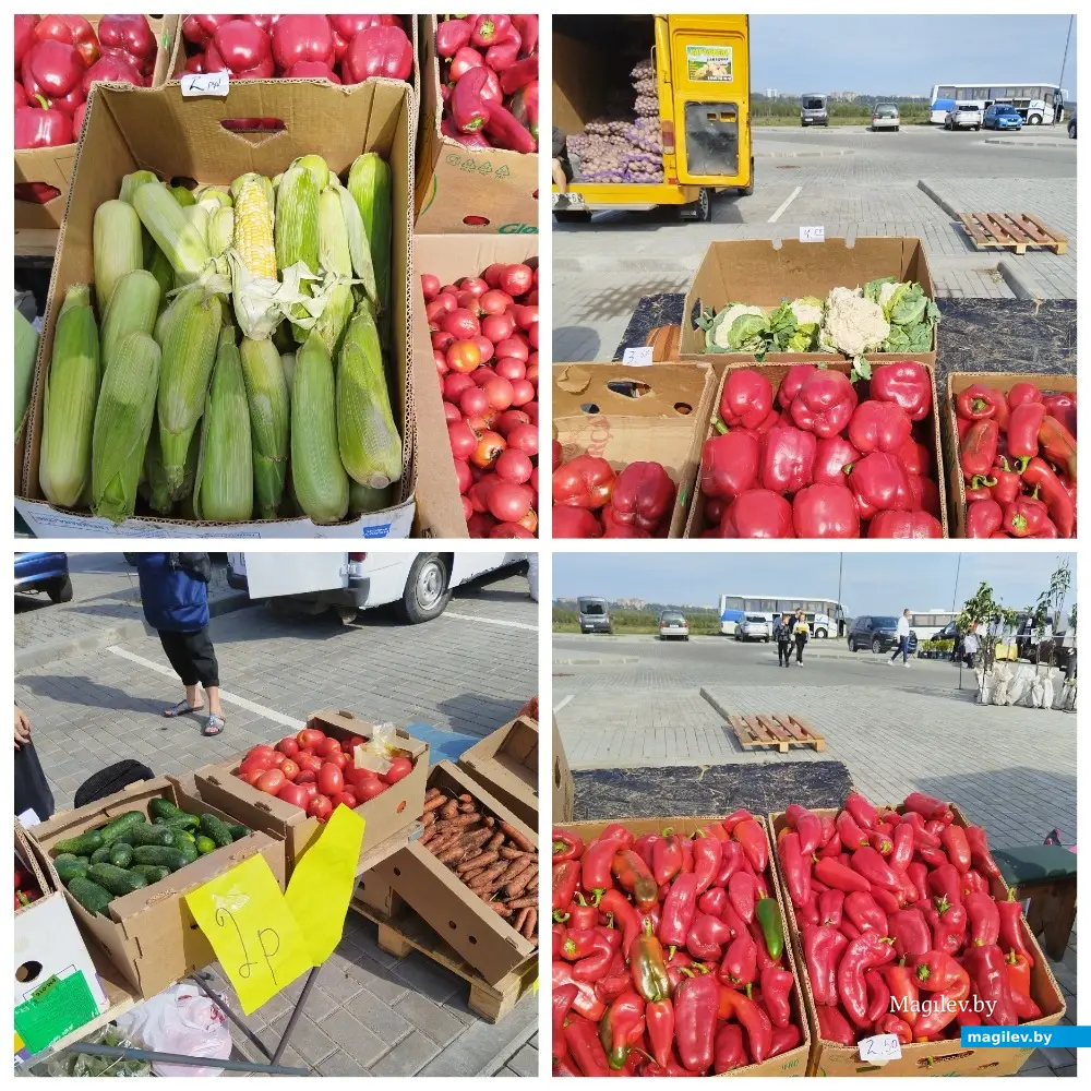 Ярмарка сельхозпродукции на Златоустовского, 1. Могилев, 23.09.2023 г.