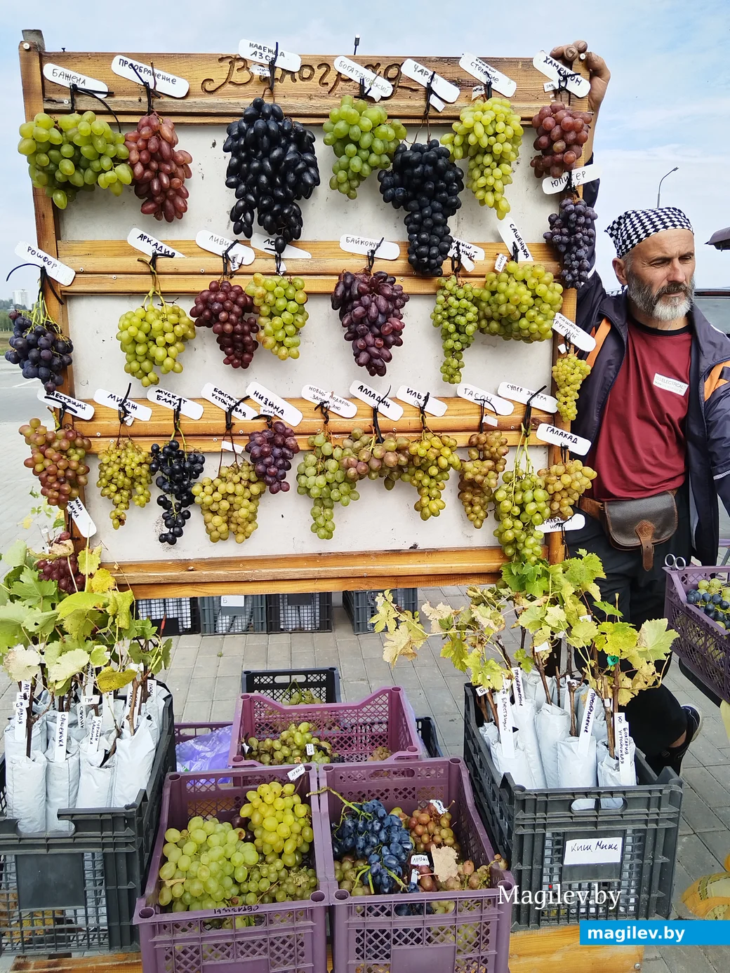 Ярмарка сельхозпродукции на Златоустовского, 1. Могилев, 23.09.2023 г.