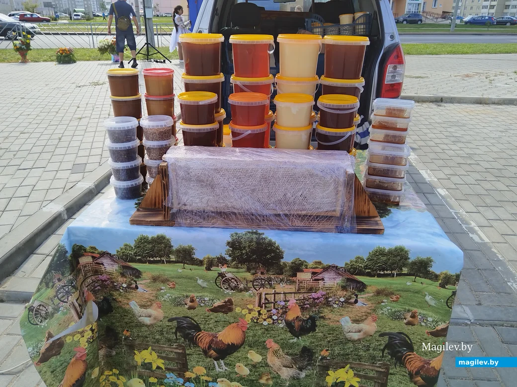 Ярмарка сельхозпродукции на Златоустовского, 1. Могилев, 23.09.2023 г.