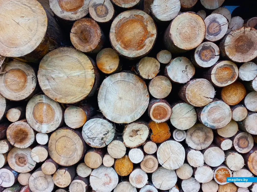 Неповторимое очарование деревни Павлинка, сентябрь, 2023 г.