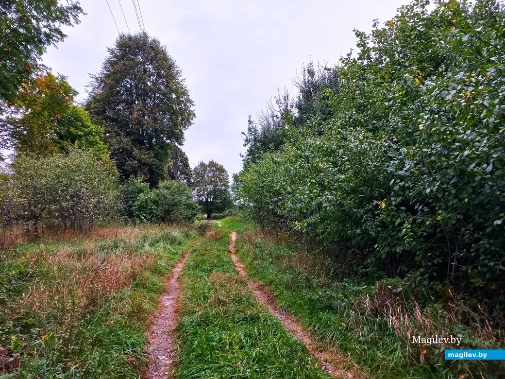 Неповторимое очарование деревни Павлинка, сентябрь, 2023 г.