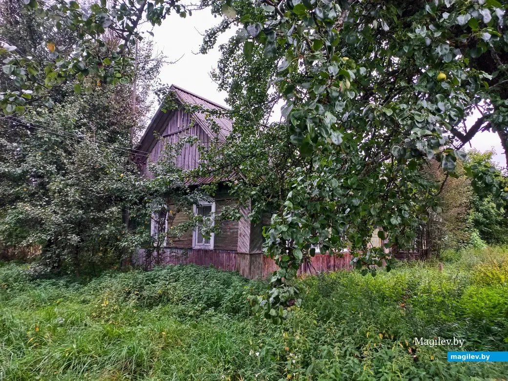 Неповторимое очарование деревни Павлинка, сентябрь, 2023 г.