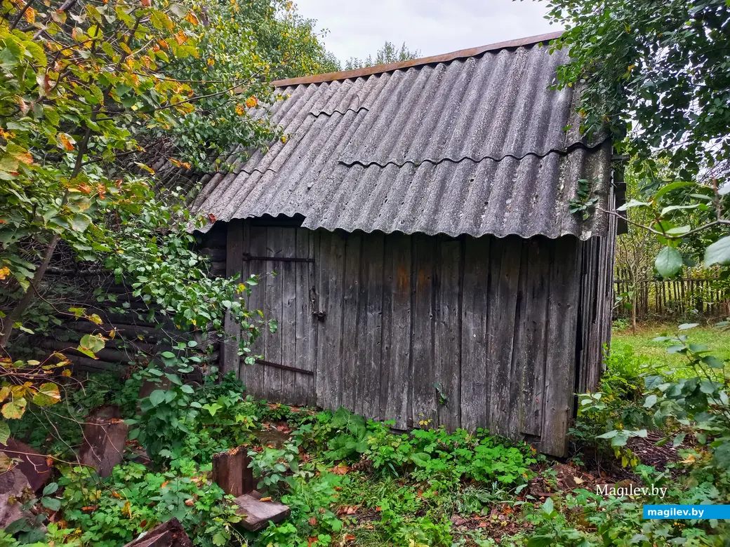 Неповторимое очарование деревни Павлинка, сентябрь, 2023 г.