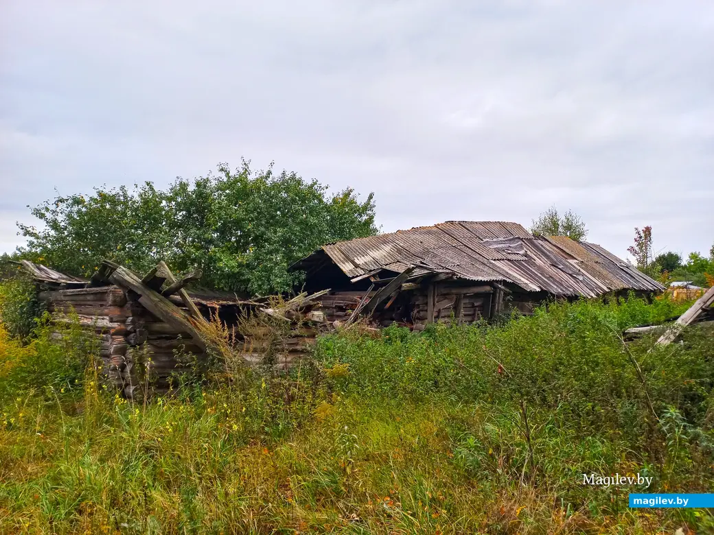 Неповторимое очарование деревни Павлинка, сентябрь, 2023 г.
