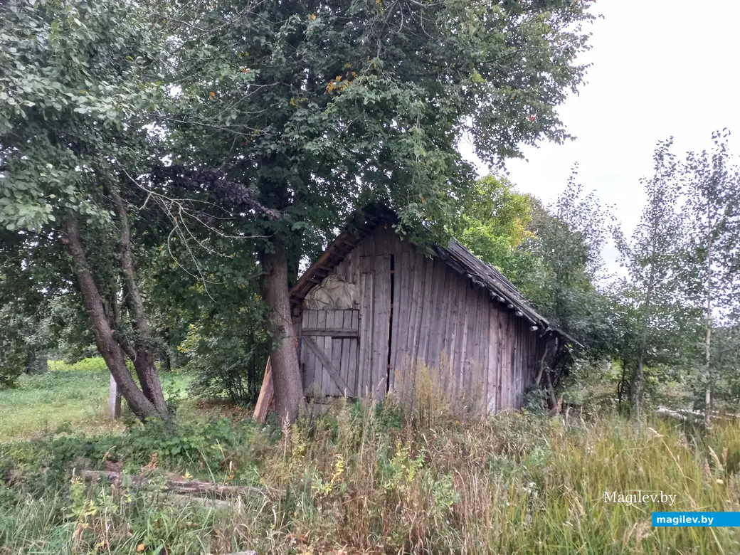 Неповторимое очарование деревни Павлинка, сентябрь, 2023 г.