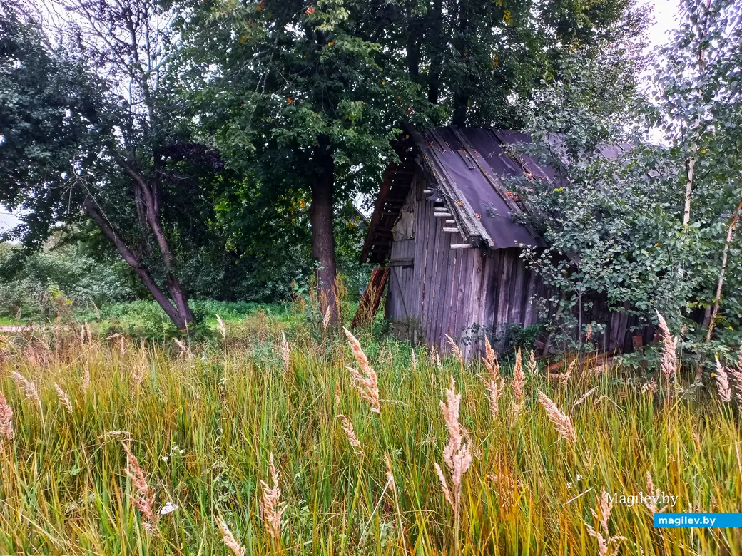 Неповторимое очарование деревни Павлинка, сентябрь, 2023 г.