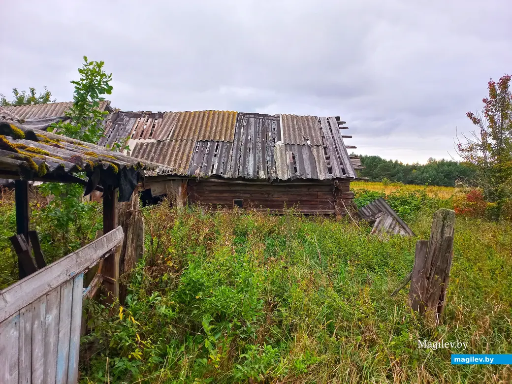 Неповторимое очарование деревни Павлинка, сентябрь, 2023 г.