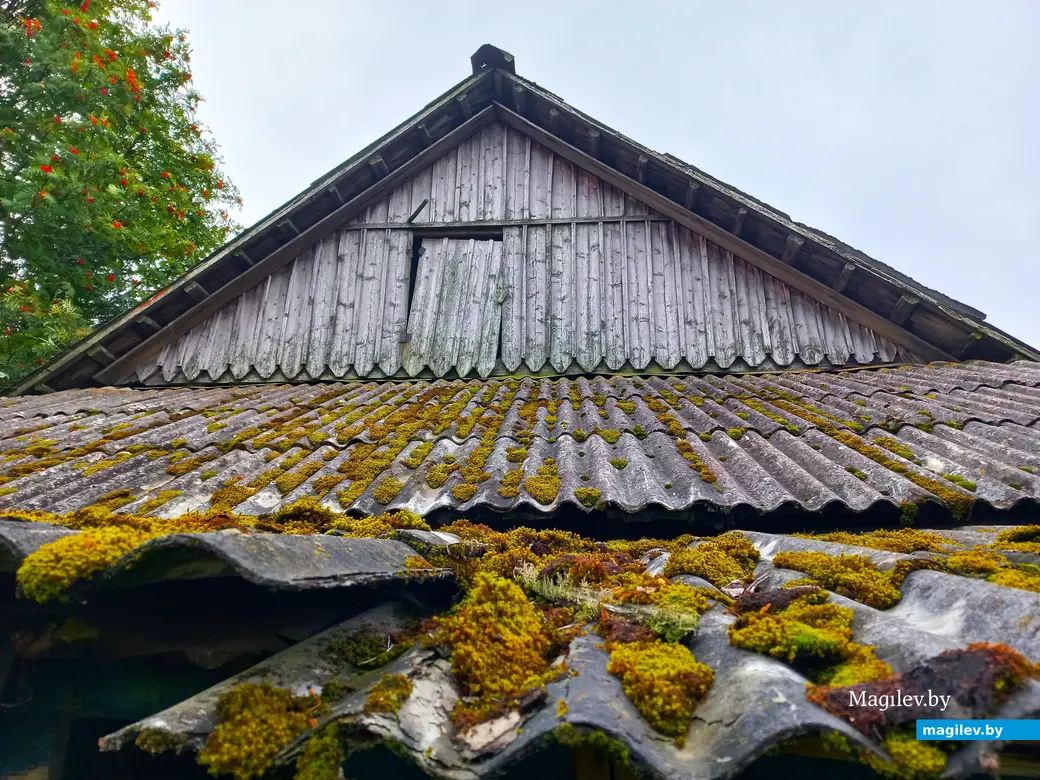Неповторимое очарование деревни Павлинка, сентябрь, 2023 г.