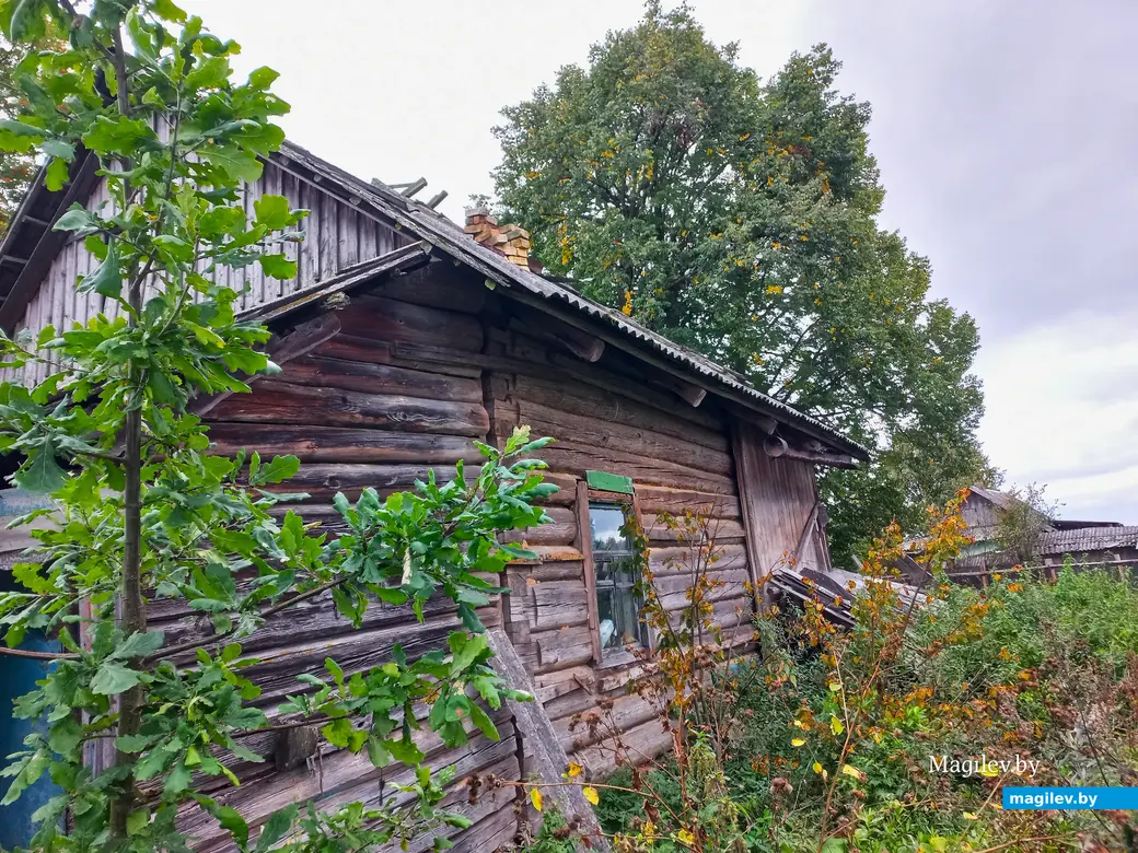 Неповторимое очарование деревни Павлинка, сентябрь, 2023 г.