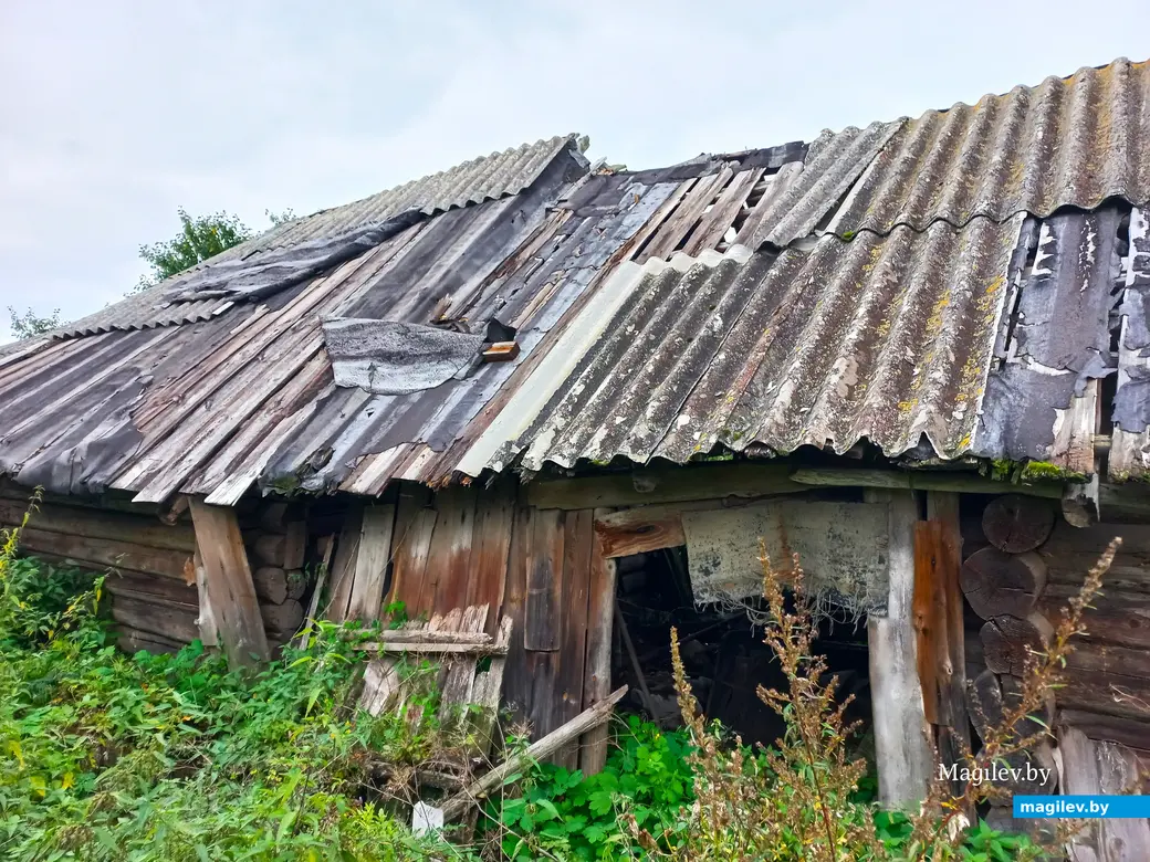 Неповторимое очарование деревни Павлинка, сентябрь, 2023 г.