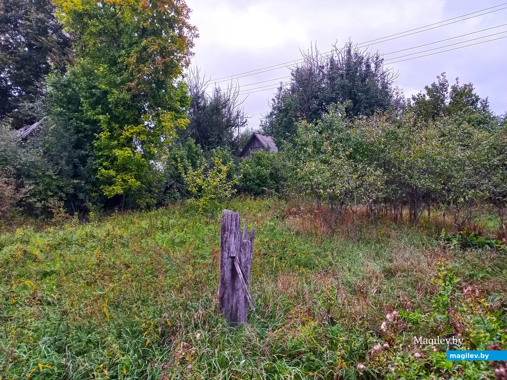 Неповторимое очарование деревни Павлинка, сентябрь, 2023 г.