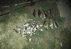 В Кировском районе задержали двух граждан за незаконную рыбалку