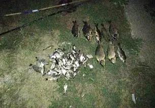 В Кировском районе задержали двух граждан за незаконную рыбалку