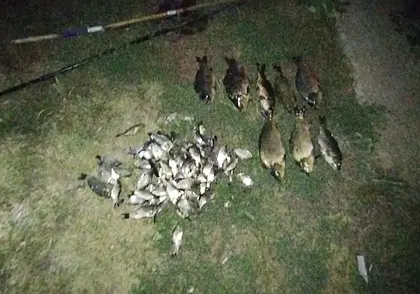 В Кировском районе задержали двух граждан за незаконную рыбалку