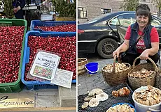 «При норме в 370 проверка радиации показала 0». Почем продают дары леса на «Центральном» рынке в Могилеве