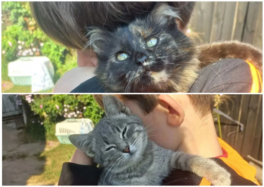 Милашка и Красотка.