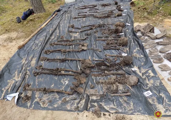 Могилевские судэксперты исследовали человеческие останки с места захоронения в Кличевском районе