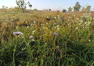 В воскресенье возможен мокрый снег, в понедельник – заморозки: прогноз погоды на 7-9 октября