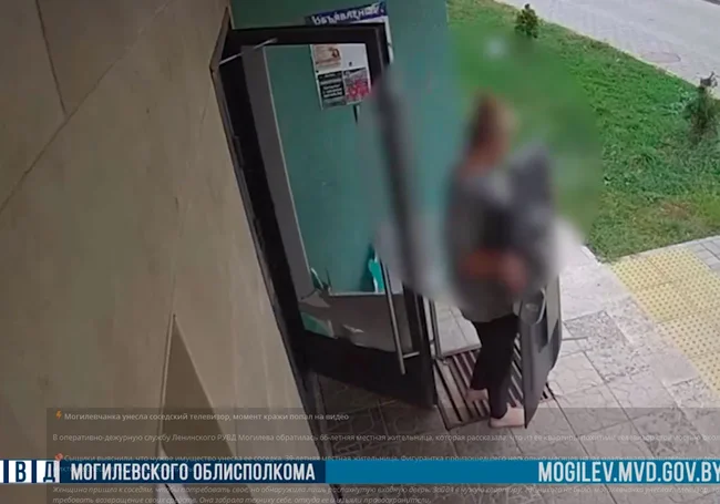 Могилевчанка унесла соседский телевизор, момент кражи попал на видео
