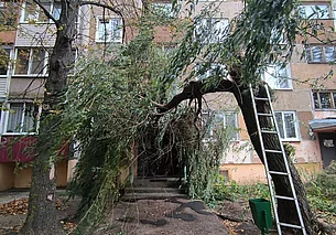 Ветер повредил линии электропередачи в 640 населенных пунктах Беларуси