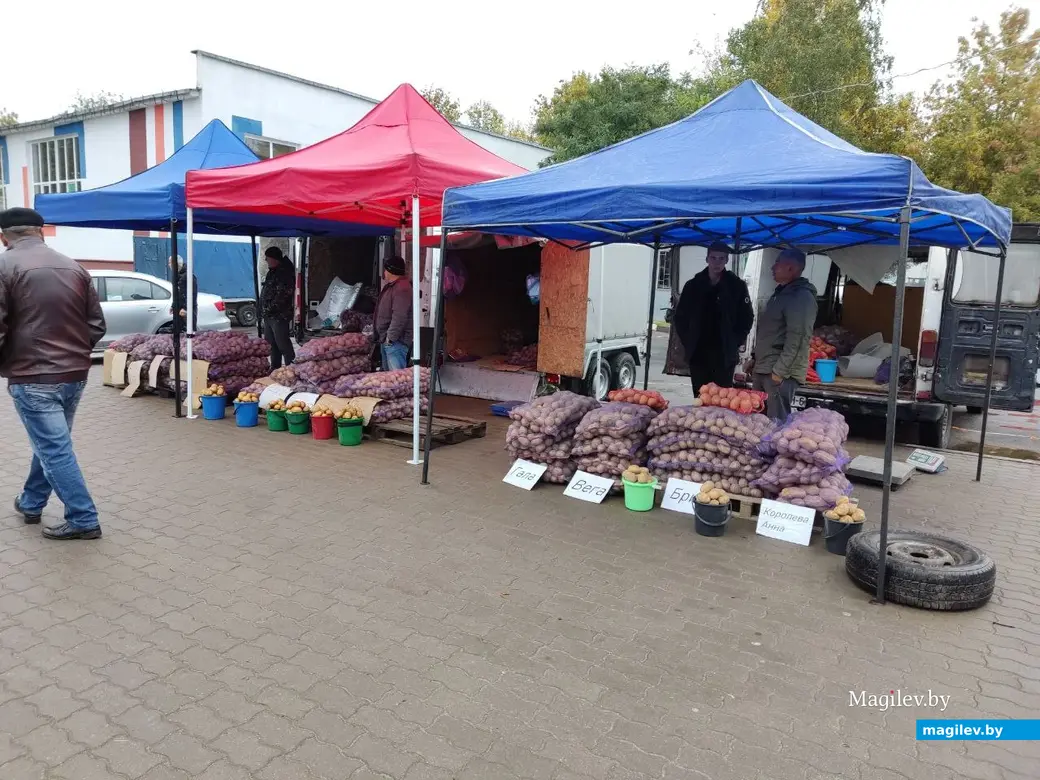 Возле Гребеневского рынка фермеры тоже предлагают картошку с доставкой на дом. Могилев, 7.10.2023 г.