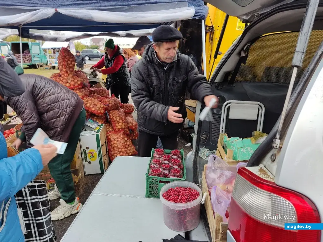 Сельскохозяйственная ярмарка на улице Алтайской. Могилев, 7.10.2023 г.